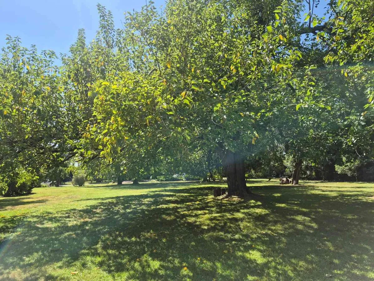 Lote en San Diego Club de Campo 0