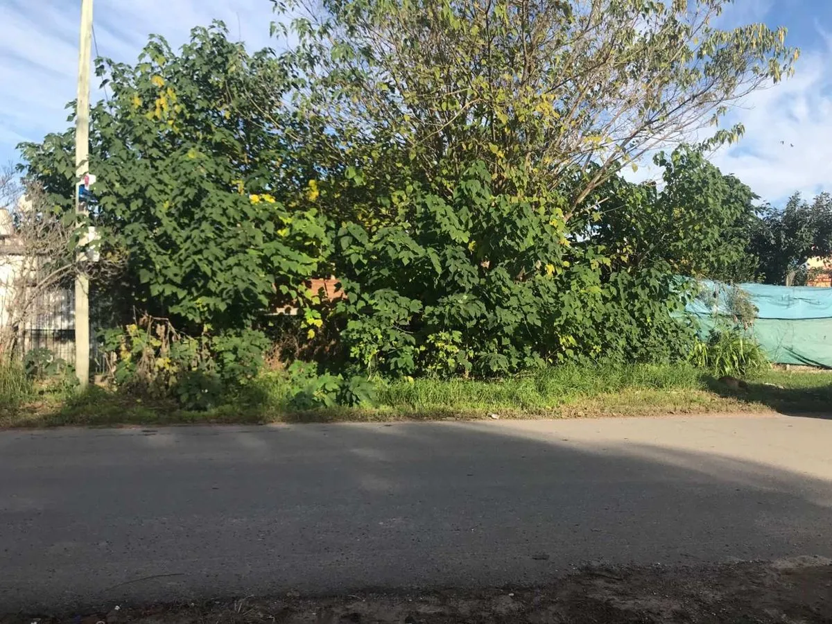 Lote en Bancalari Entre Corrientes y Entre Rios S/N