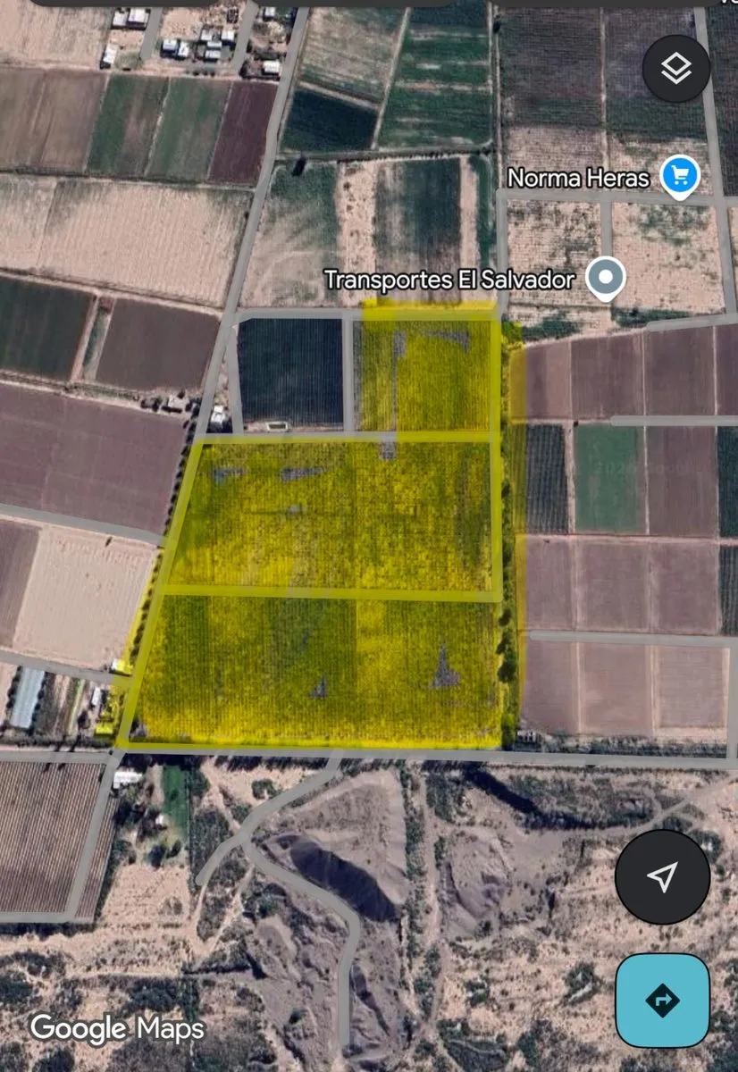 Campo en Calle Desconocida S/N