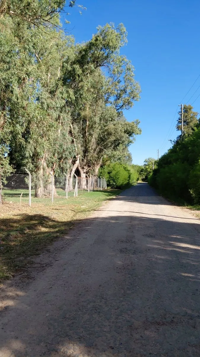Lote en Pilara y la Calle Isla de los Estados, Barrio Carabassa S/N