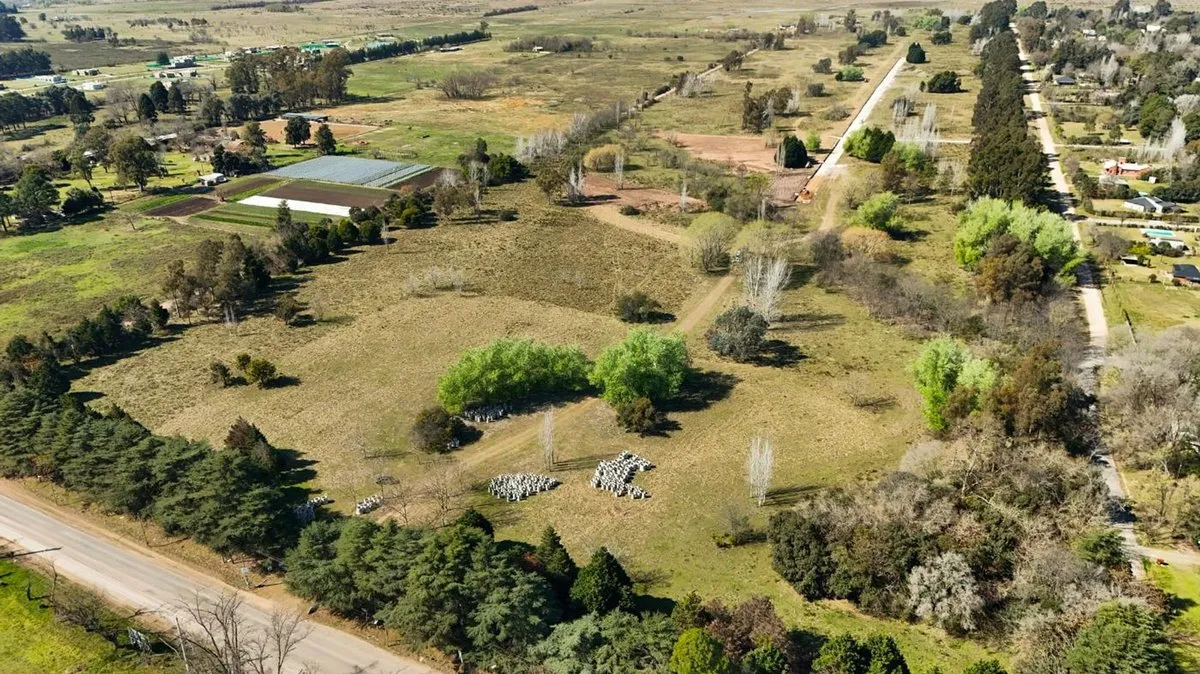 Lote en El Resero S/N