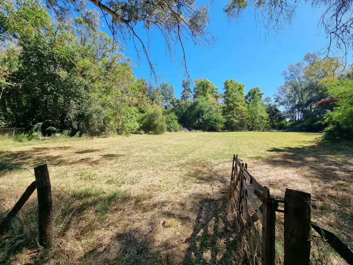 Campo en Villa Ruiz S/N