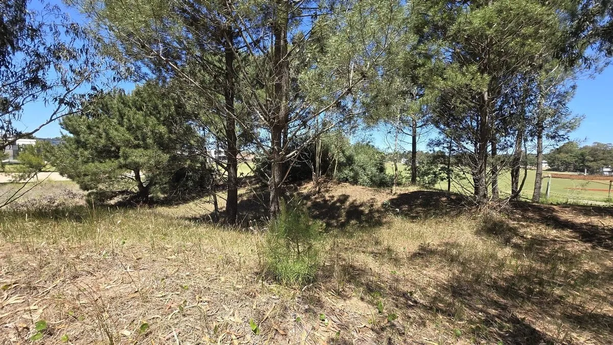 Lote en Ecuestre 200