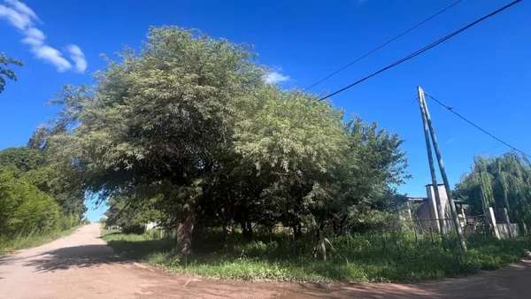 Lote en Guillermo Brown S/N