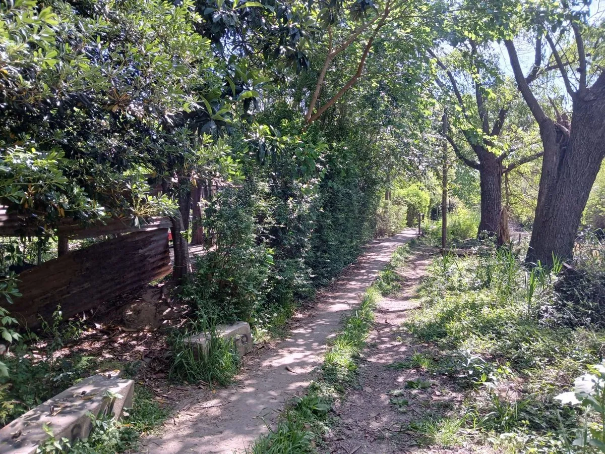 Lote en Arrollo Gallo Fiabre 0