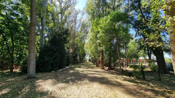 Campo en Bernardino Rivadavia S/N