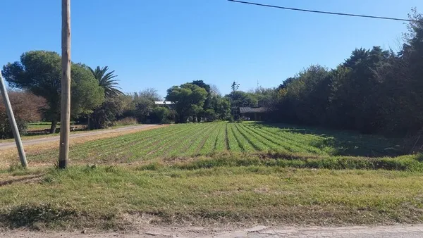 Lote en General Bernardo O'higgins 8200