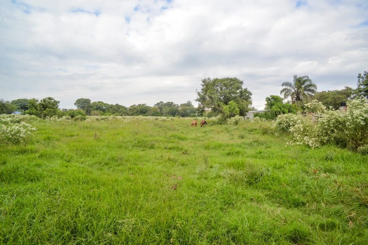 Lote en Ruta Nacional 11 y Uspallata S/N