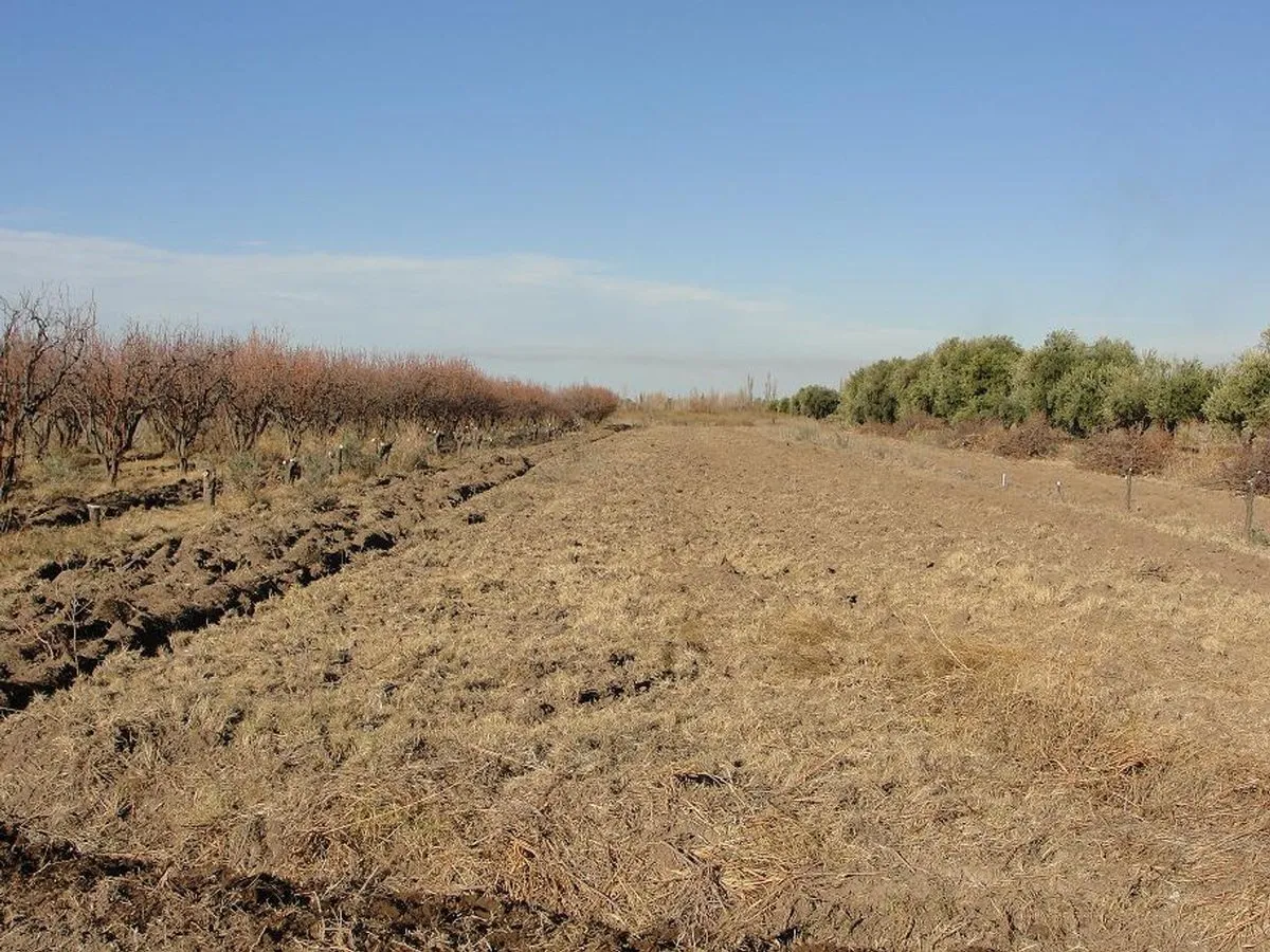 Campo en Chubut 3500