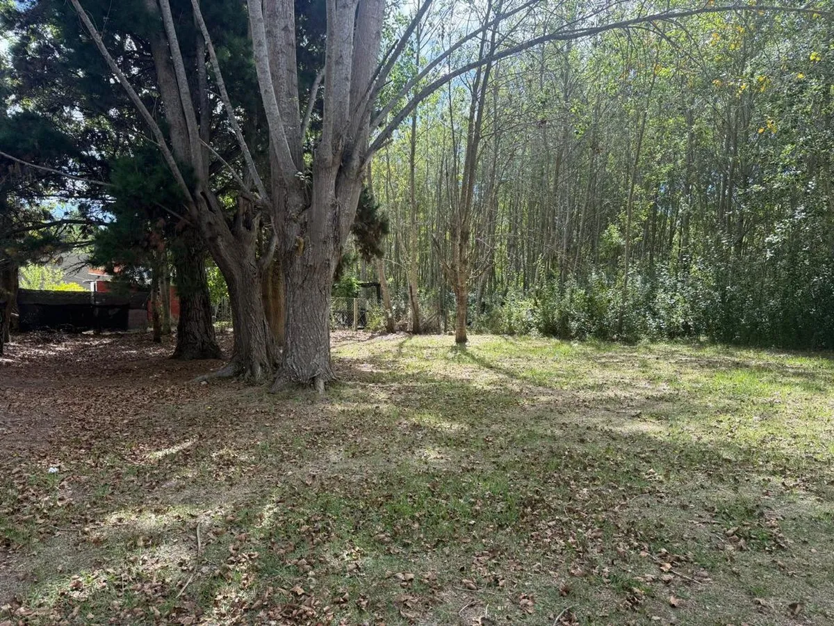 Lote en Rastreador Bouchard S/N