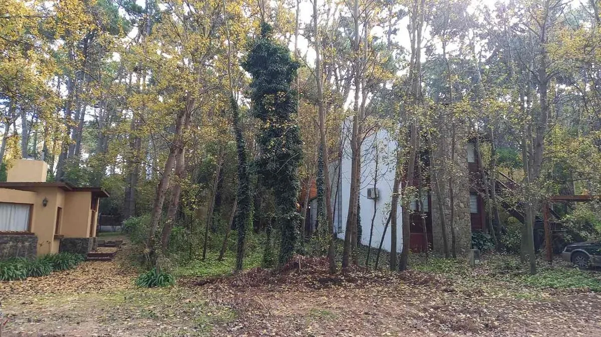 Lote en Calle Punta del Este Entre Calle 38 y 39 0