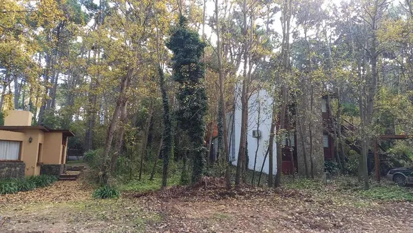 Lote en Calle Punta del Este Entre Calle 38 y 39 0