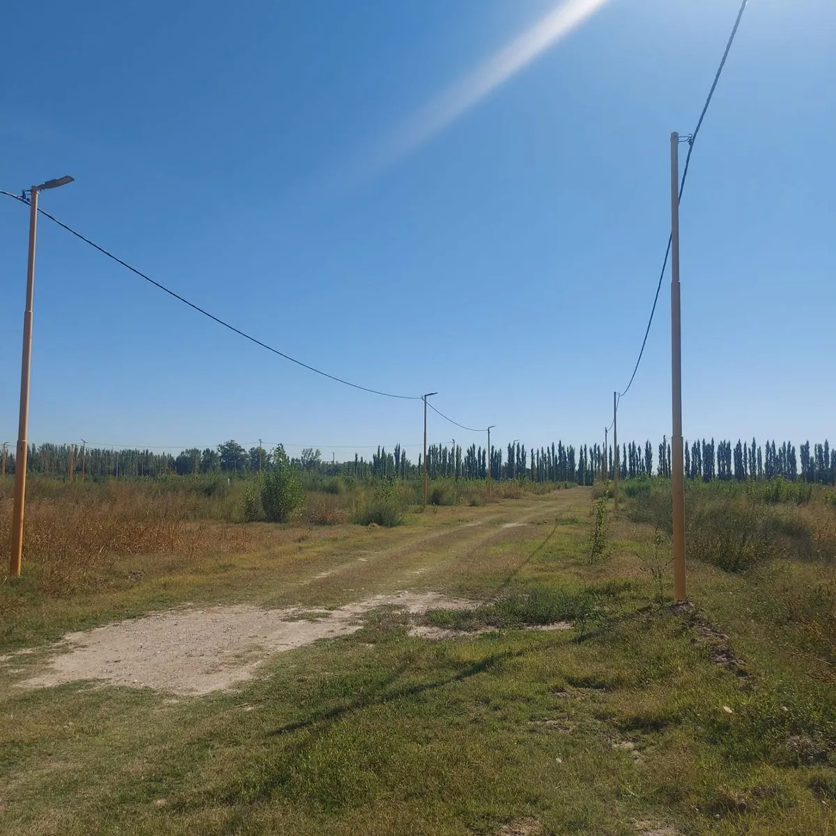 Lote en La Rufina I S/N