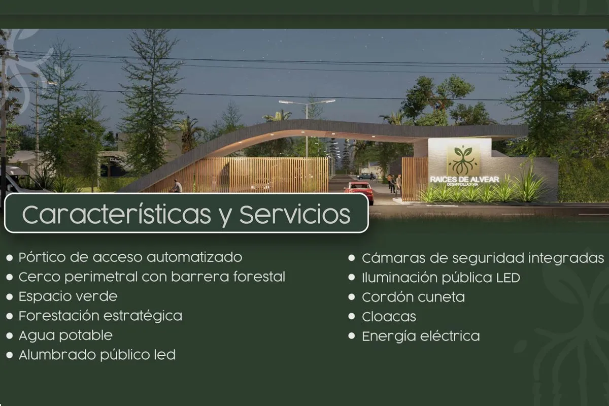 Lote en Manzana D 100
