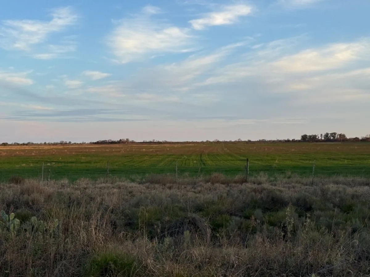 Campo en Zona Rural S/N