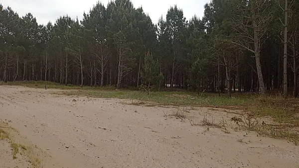 Lote en Cortaderas 0