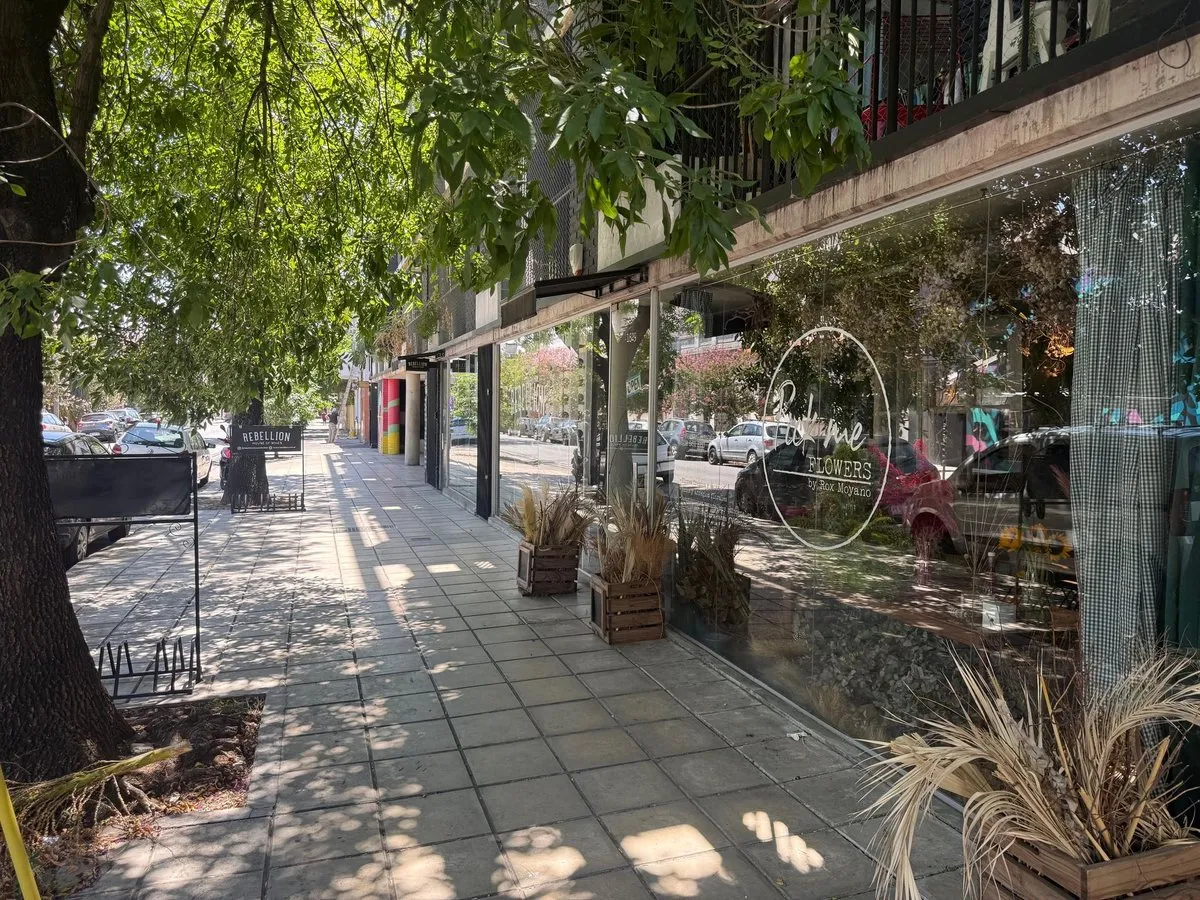 Local Comercial en Mariano Acha 1600
