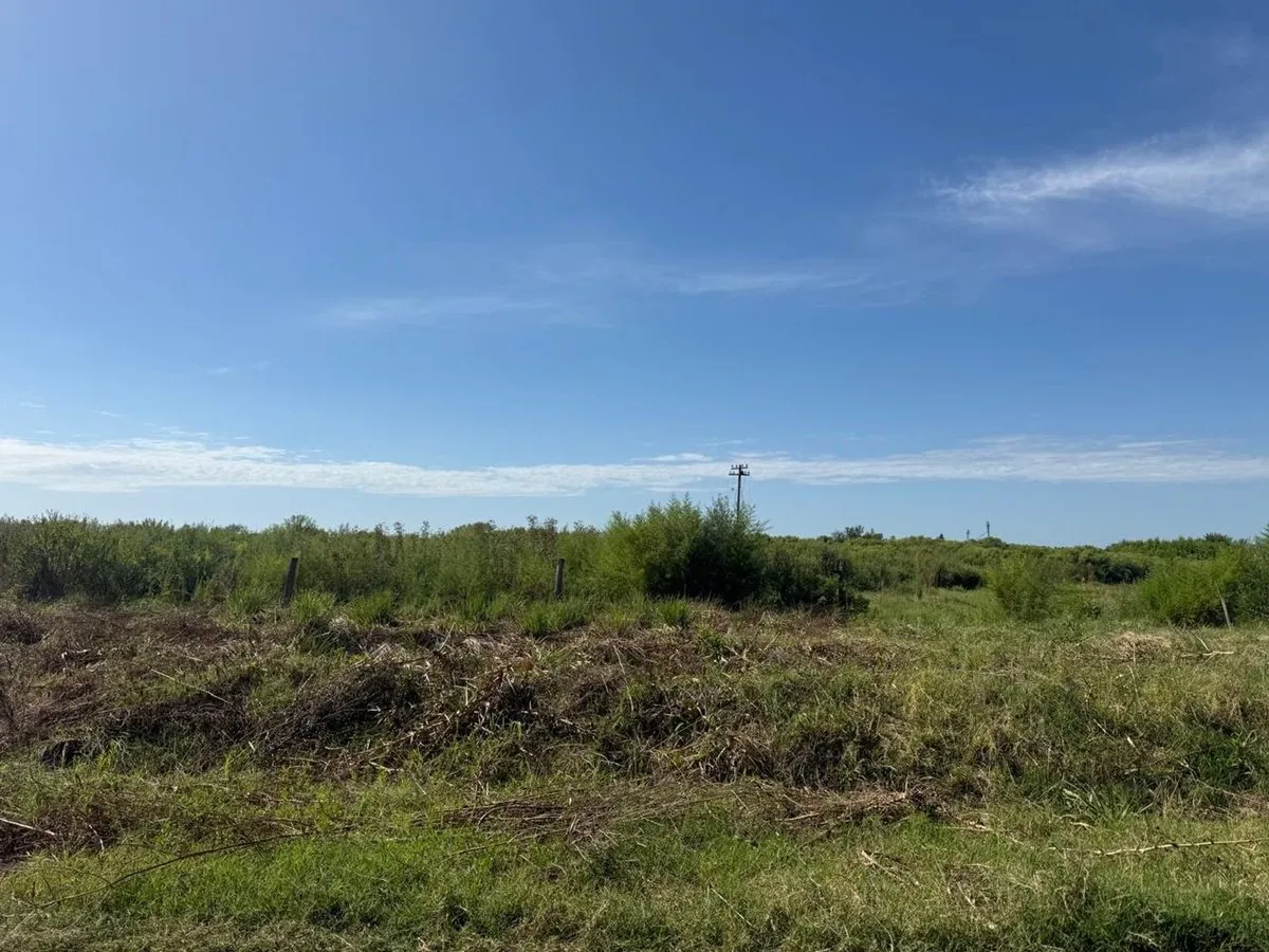 Lote en José Francisco Merlino S/N