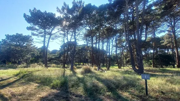 Lote en Avenida Enrique Shaw 200