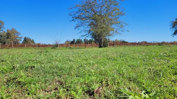 Lote en Tucumán S/N