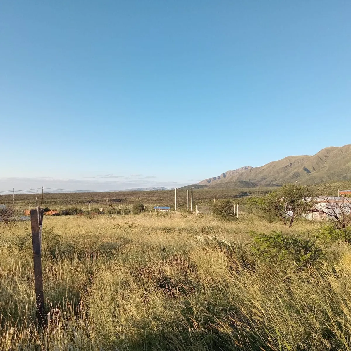 Lote en Los Jacarandáes 300