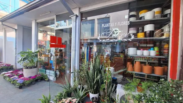 Local Comercial en General Las Heras 0