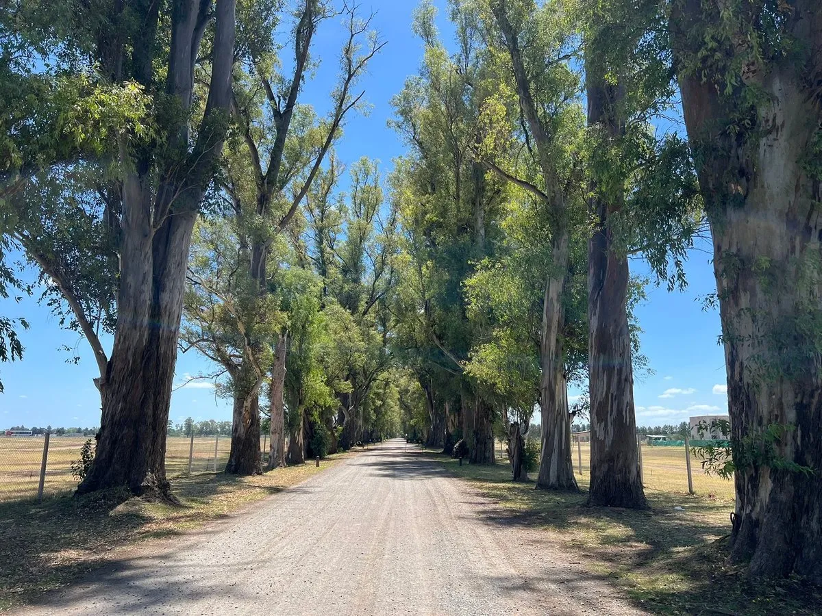 Lote en Ruta 6 Km 100