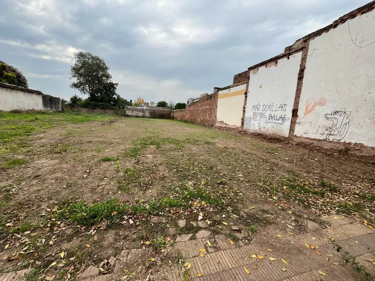 Lote en Ramon Raimundo 300
