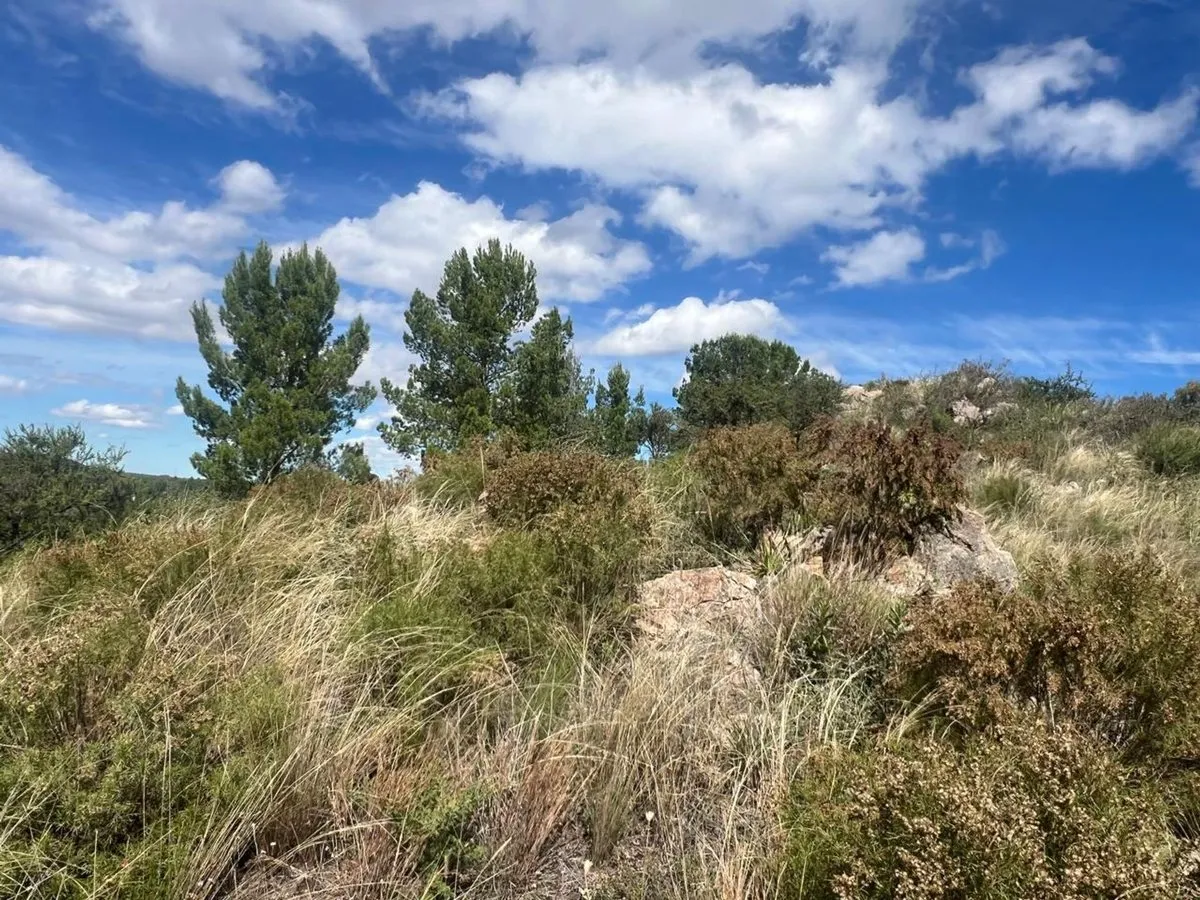 Lote en Ruta Provincial 20 0