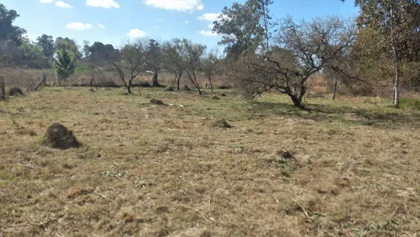 Lote en Zapata Gollan S/N