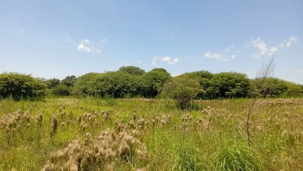 Lote en ñoño del Giorgio (ex Calle 14 y Montamant) 200
