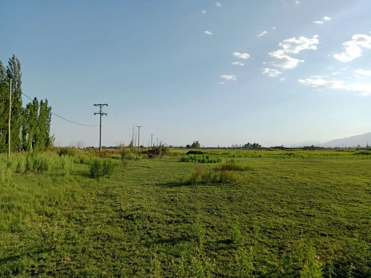 Lote en Vicente Lopez y Planes y Calle 13 0