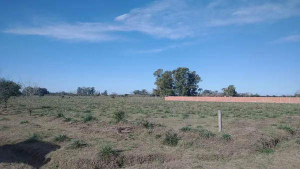 Lote en Calle Camino a Navarro S/N