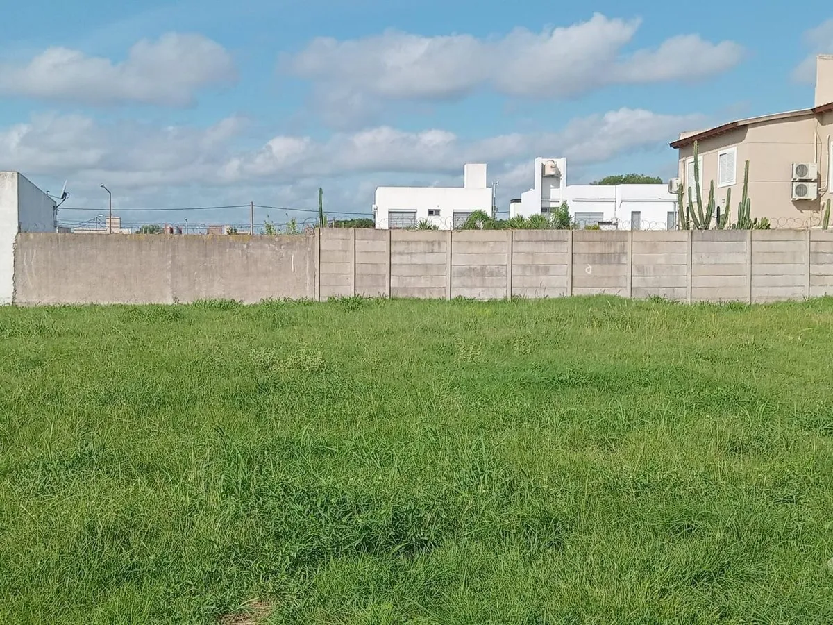 Lote en Natalio Perillo 800