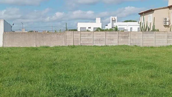 Lote en Natalio Perillo 800