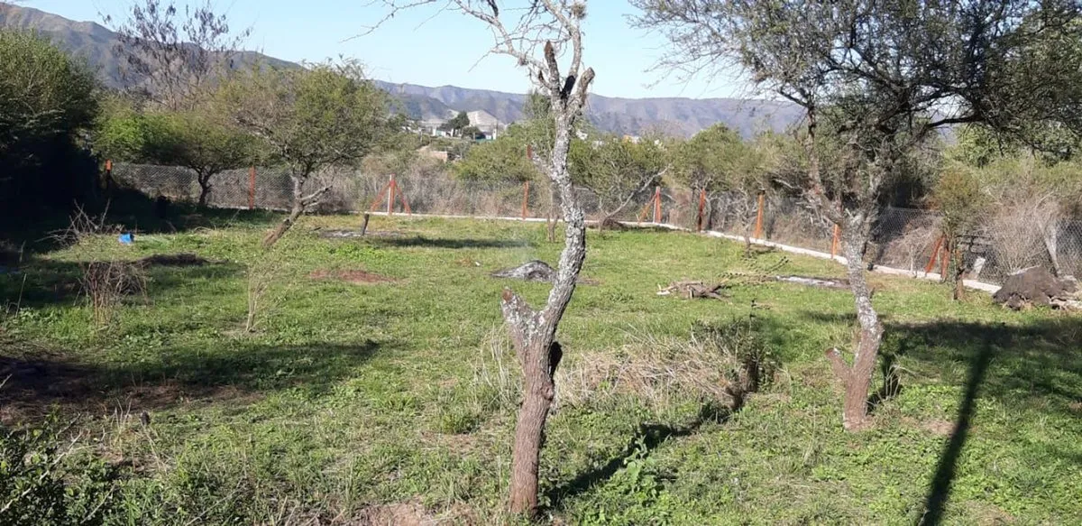 Lote en Mil Flores S/N