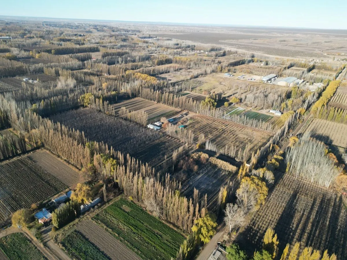 Campo en Calle 0