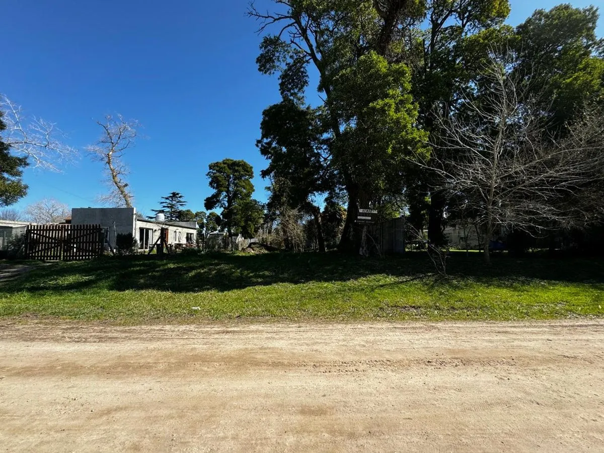 Lote en Calle C González Segura S/N