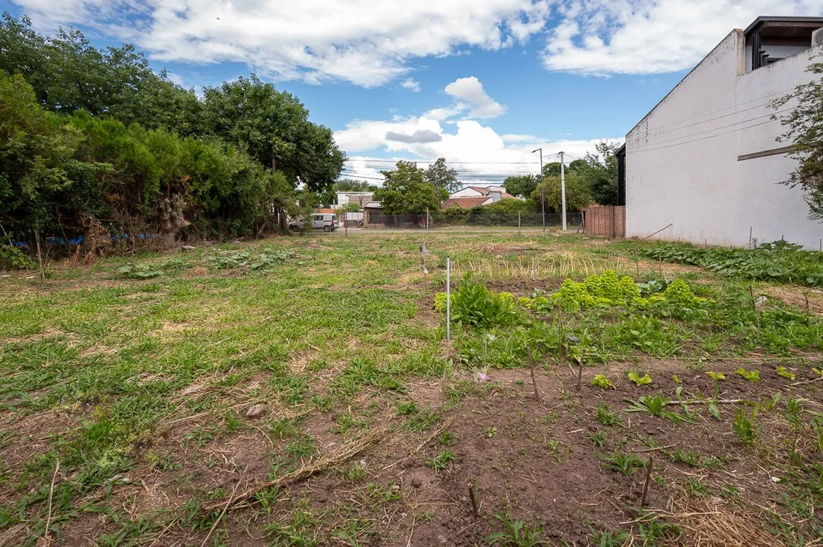 Lote en Los Naranjos S/N