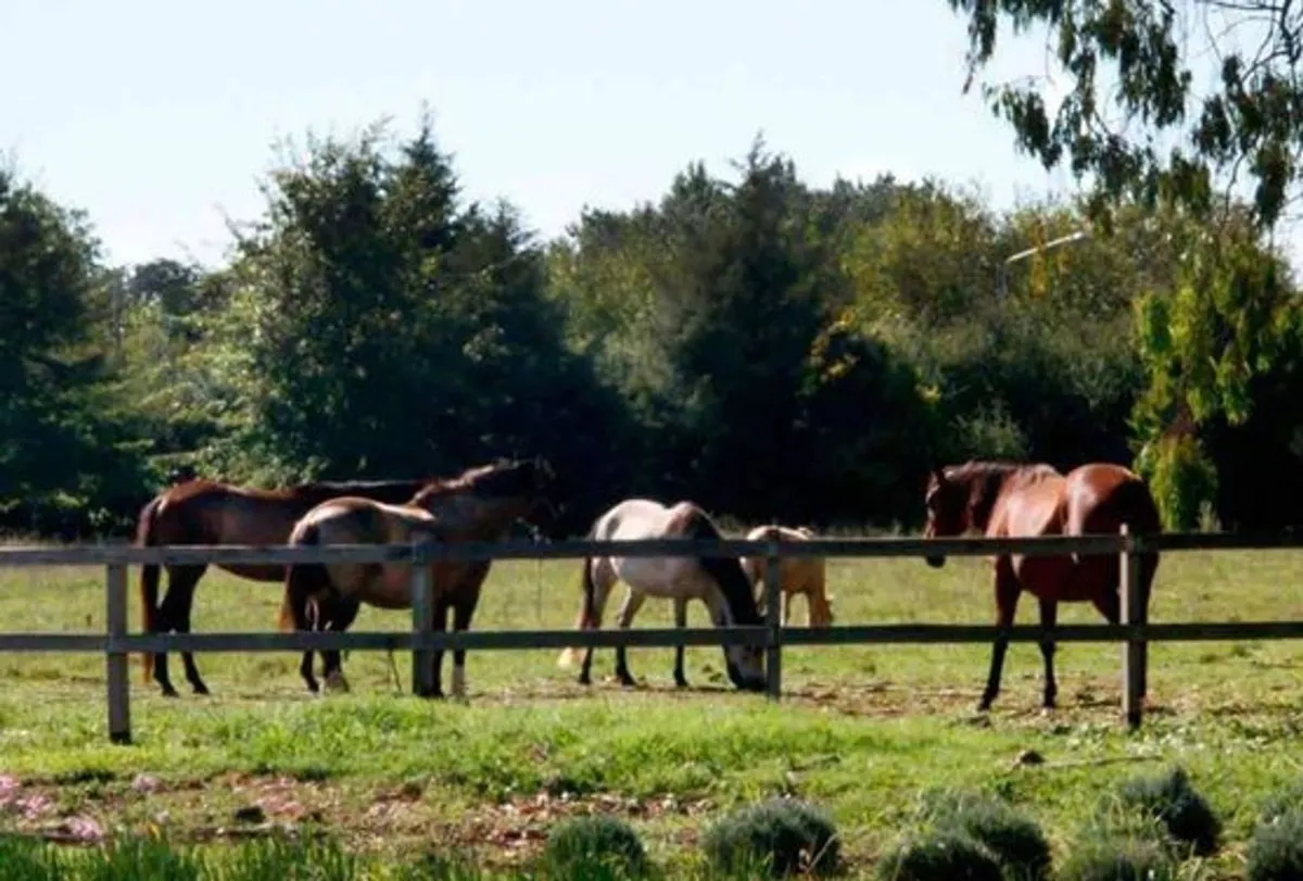 Lote en Ruta 4 S/N