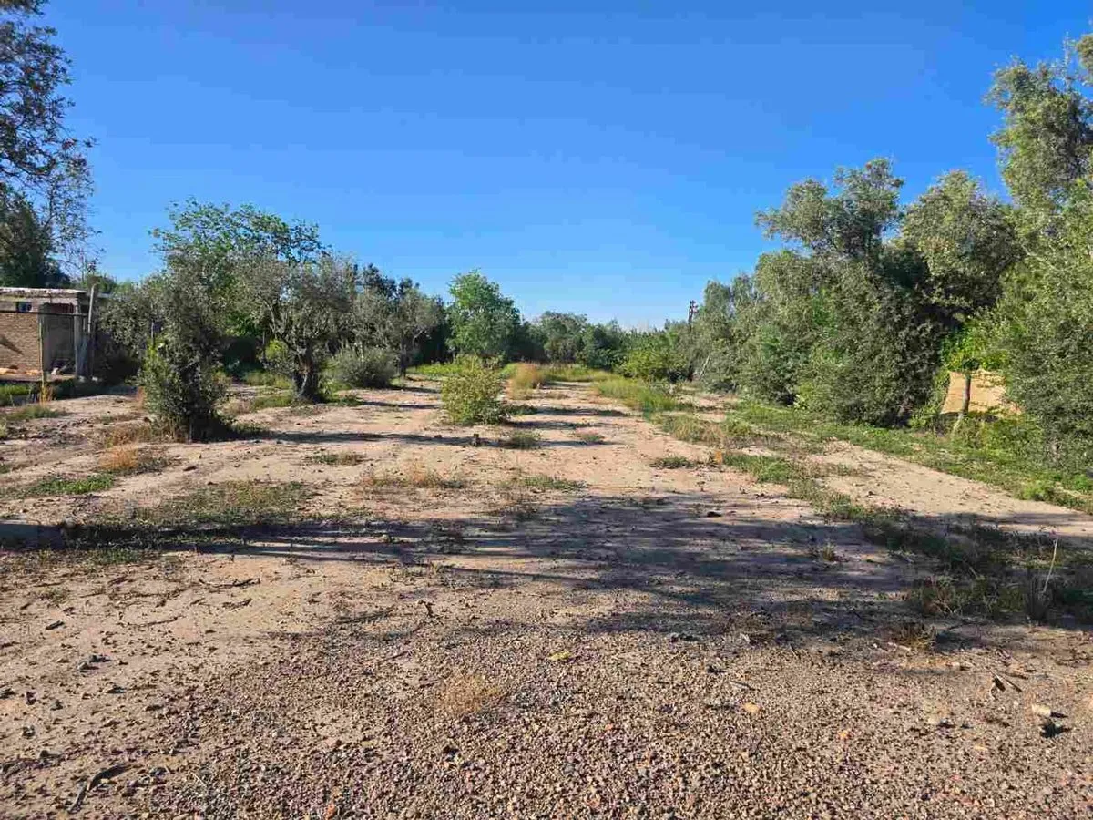 Lote en Presidente Bartolomé Mitre 2700