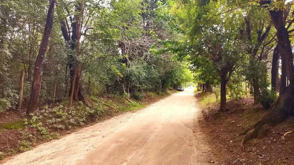 Lote en El Algarrobo S/N