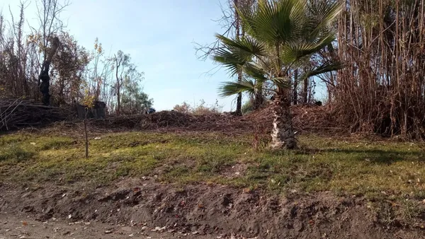 Lote en Carril Buen Orden S/N