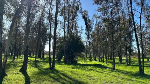 Lote en Ruta Nacional 11 S/N