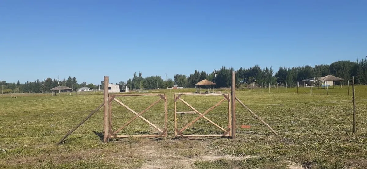 Lote en Martín Coronado S/N
