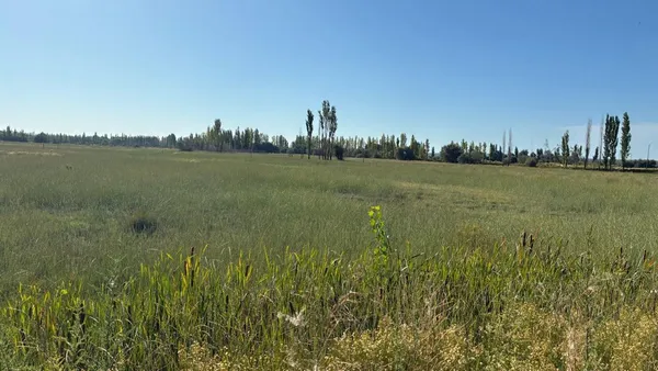 Campo en Finca N° 17.610 - Chacra 330, Lote A S/N