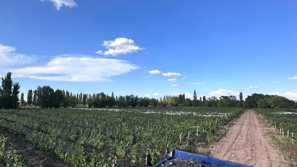 Campo en Cochabamba 9500