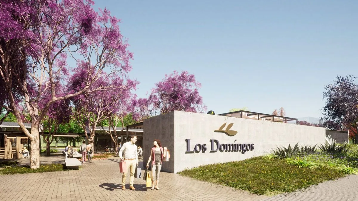 Lote en Los Domingos S/N