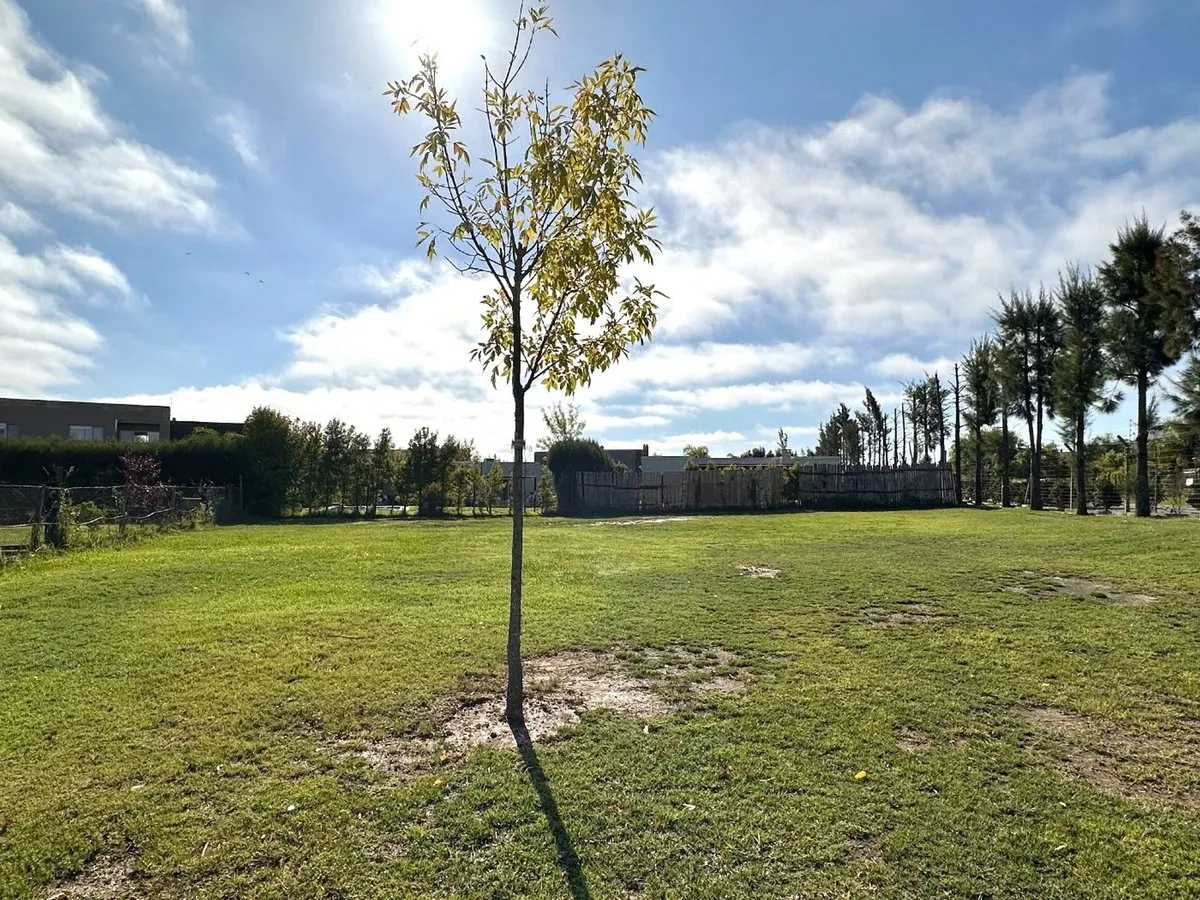Lote en Boulevard de Todos los Santos 3500