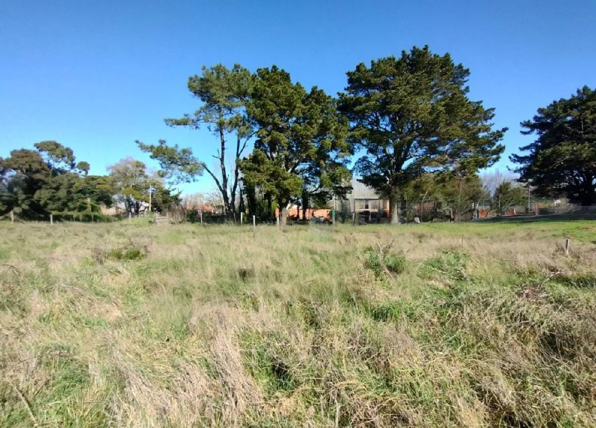Lote en Isla Elefante S/N